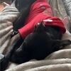 prettypittieco